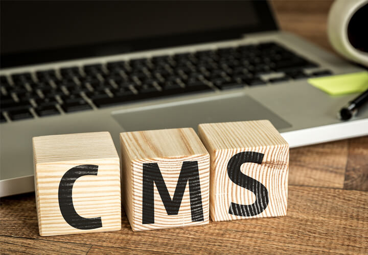 Is WordPress the right Content Management System for you?